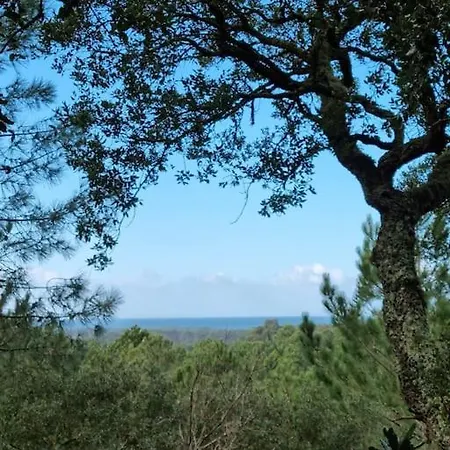 Maison La Basco-landaise Vila