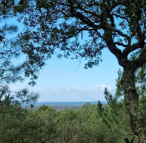 Maison La Basco-landaise Villa